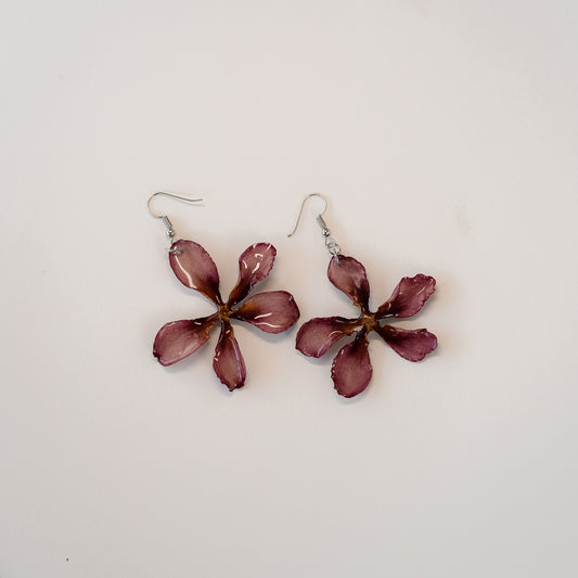 Purple Frangipani