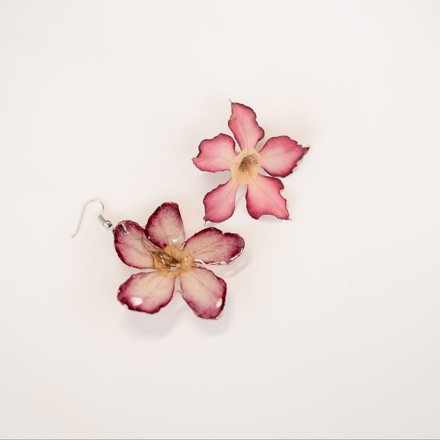 Desert Rose Earrings